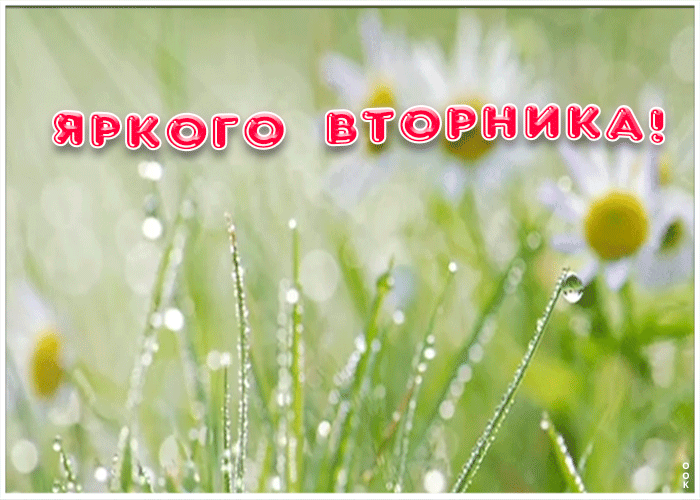 Картинка пожелание яркого вторника