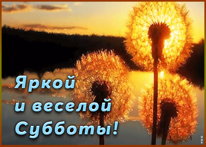 Картинка пожелание яркой и веселой субботы