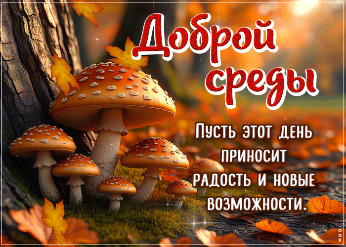 Postcard позитивная открытка, осенняя среда для вдохновения