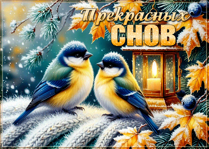 Postcard позитивная открытка, хороших снов