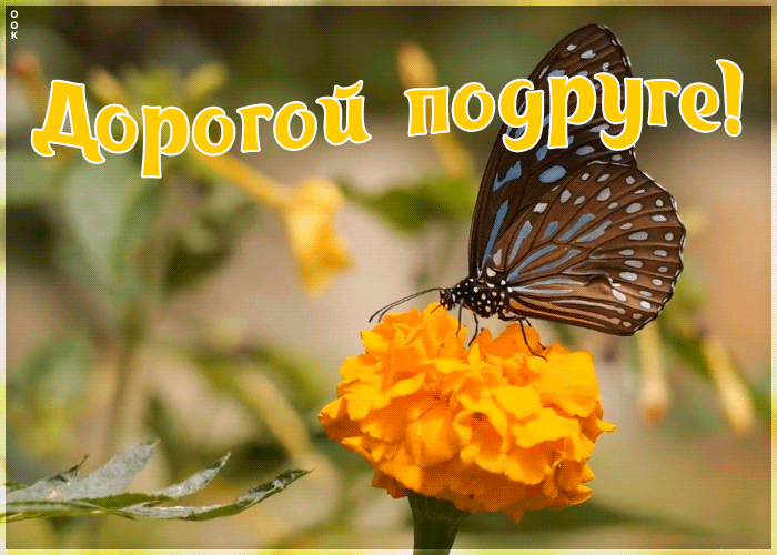 Картинка прекрасная анимация дорогой подруге
