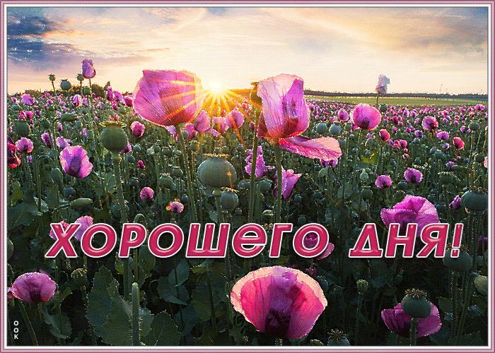 Картинка прекрасная картинка хорошего дня