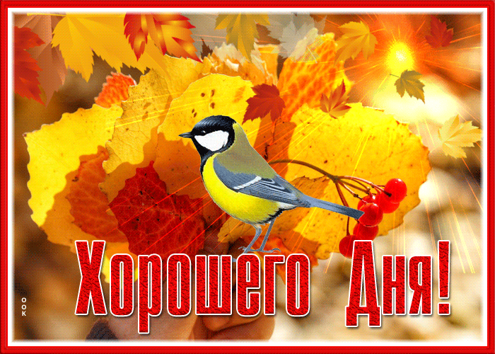 Postcard прекрасная картинка хорошего дня с синичкой