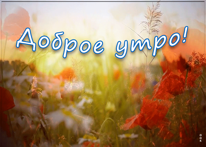 Открытка прекрасная открытка доброе утро