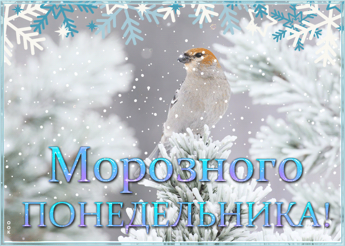 Picture прекрасная открытка с пожеланием морозного понедельника