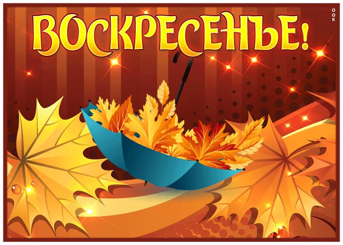 Picture прекрасная открытка воскресенье с яркими осенними листьями