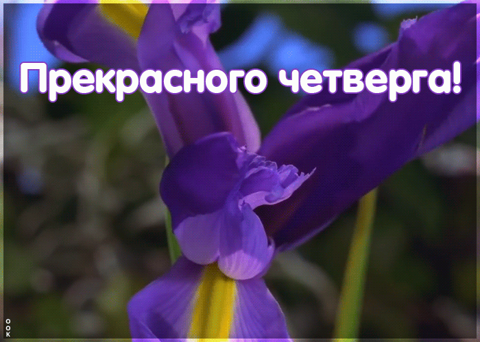 Открытка прекрасного четверга