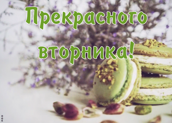 Открытка прекрасного вторника искренне желаю