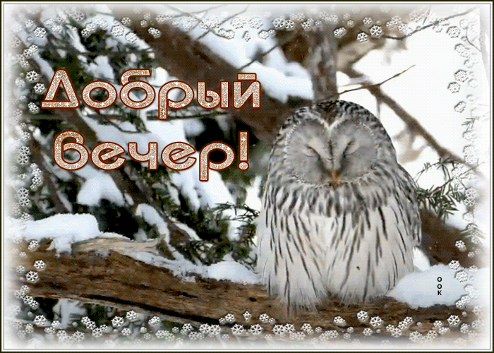 Открытка прелестная картинка добрый вечер