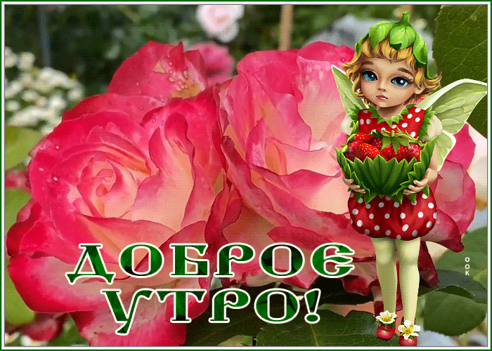 Postcard прелестная открытка доброе утро с цветами и эльфом