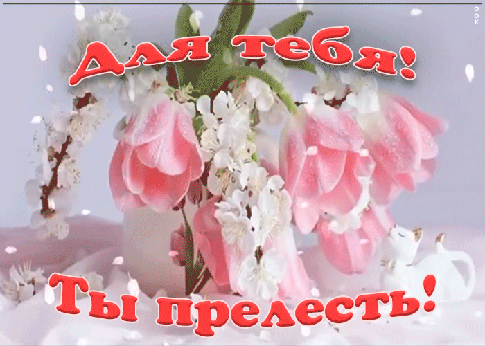 Картинка прелестные тюльпаны для тебя