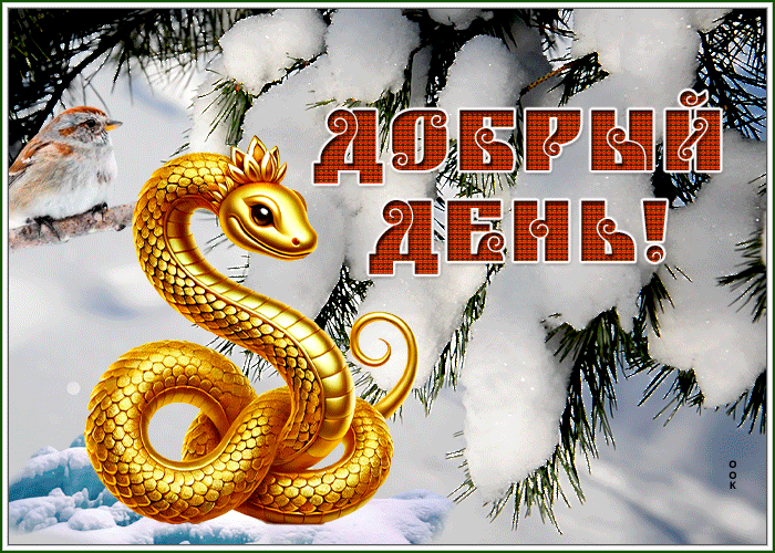 Картинка прикольная открытка добрый день