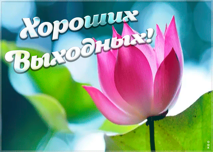 Открытка прикольная открытка хороших выходных