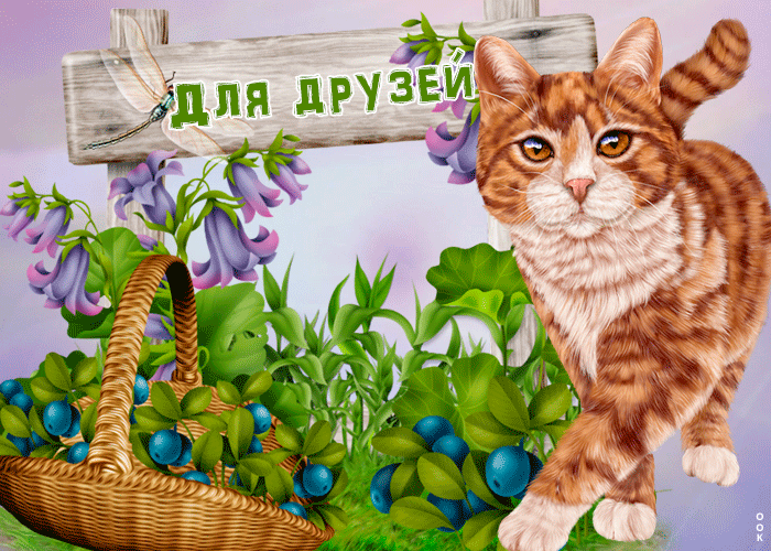 Открытка прикольная открытка моим виртуальным друзьям