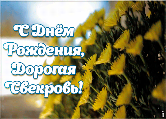 Картинка прикольная открытка с днем рождения свекрови
