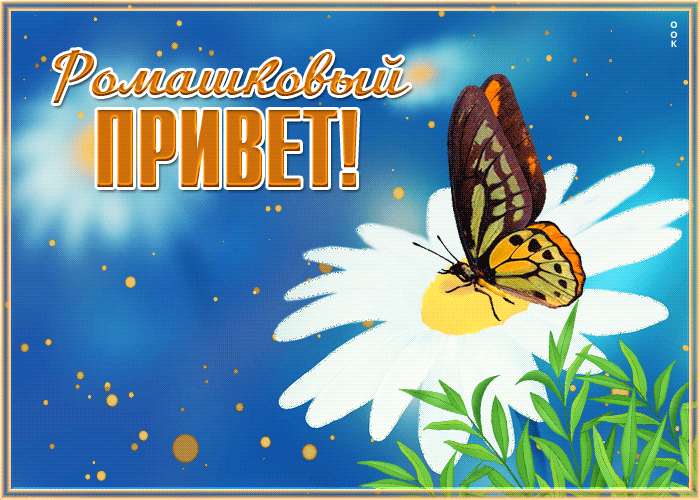 Открытка прикольная открытка с ромашками