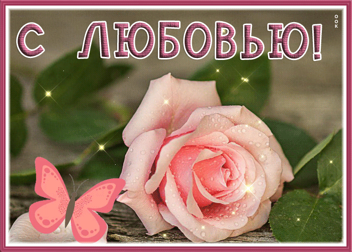Postcard притягательная открытка, нежная розочка с любовью
