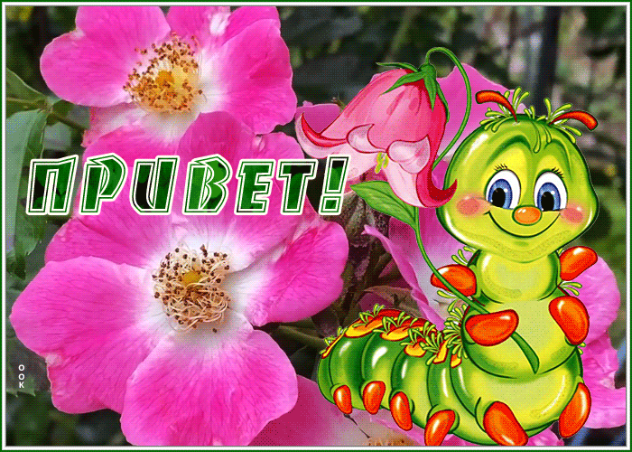 Picture привет