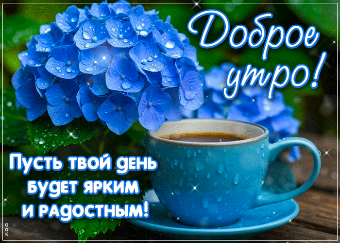 Picture приветливая гиф-открытка, пусть день будет ярким, доброго утра