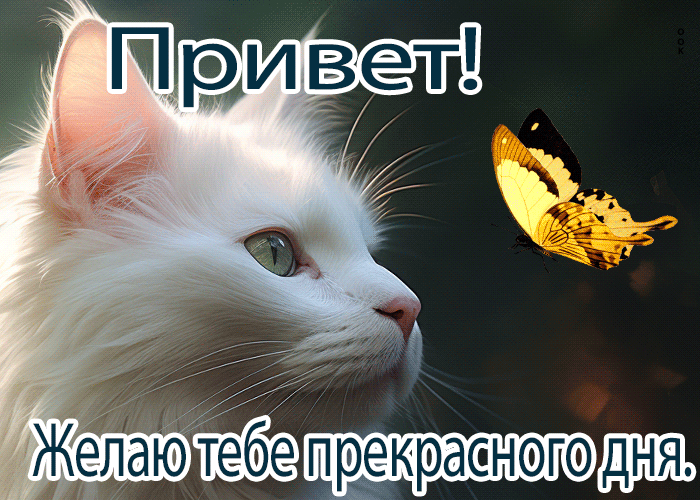 Postcard привлекательная гиф-открытка, для тебя прекрасный привет
