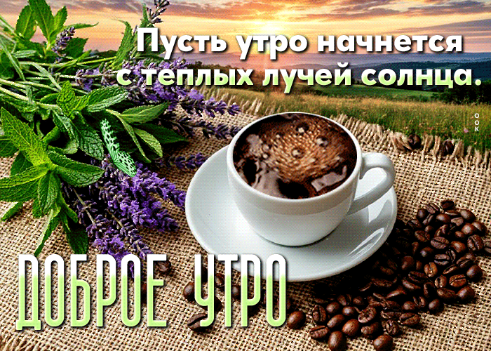Postcard приятная гиф-открытка, пусть утро начнется с теплых лучей солнца