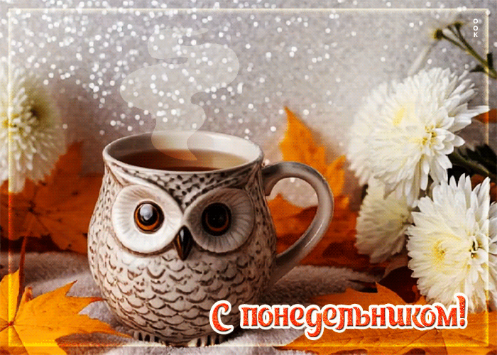 Picture приятная картинка, доброго и тёплого понедельника