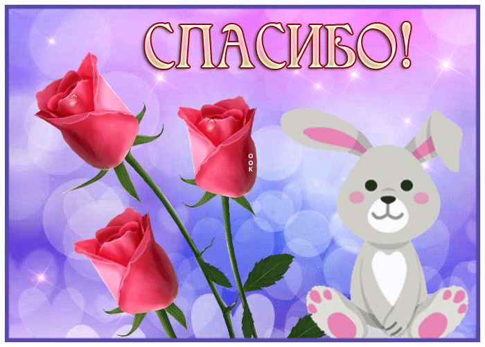 Postcard приятная картинка спасибо с розами и зайкой