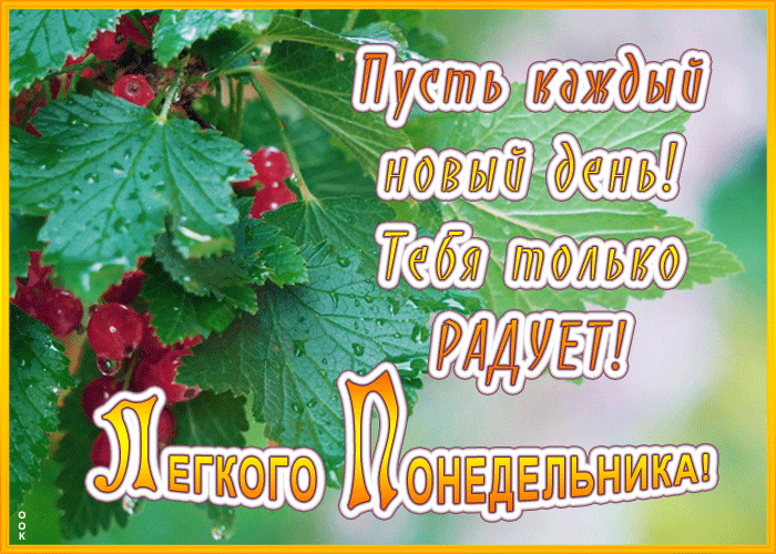 Картинка приятная открытка с понедельником