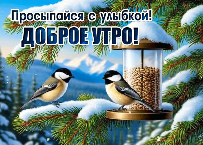 Просыпайся с улыбкой! Доброе утро | Открытки Онлайн