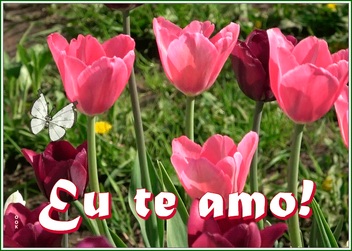 Postcard pt-love