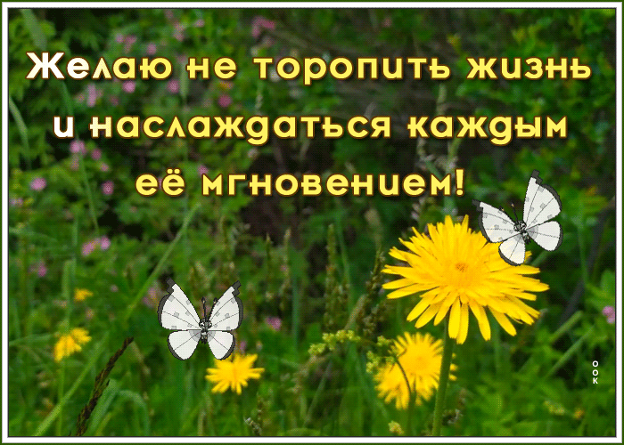 Картинка пускай всегда цветут цветы
