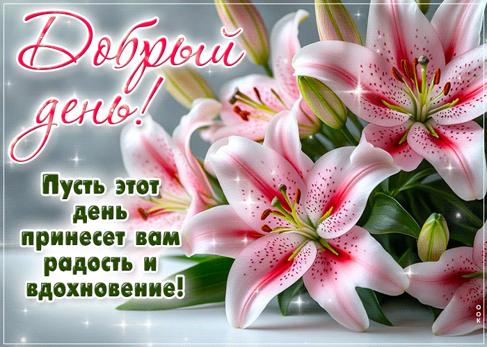 Postcard пусть день принесет радость и вдохновение