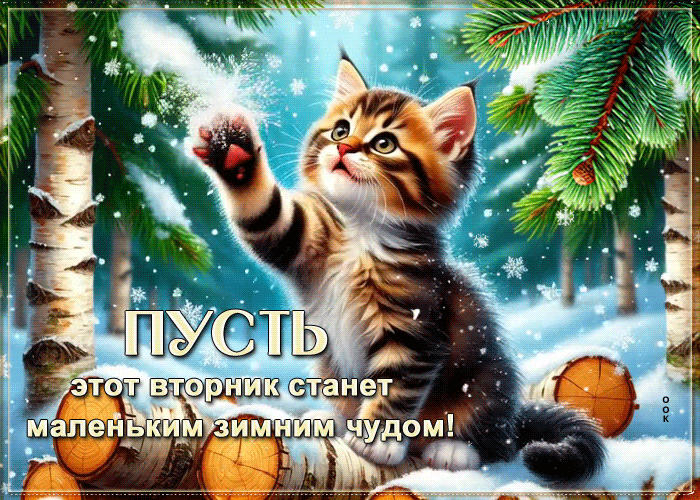 Picture пусть этот вторник станет маленьким зимним чудом