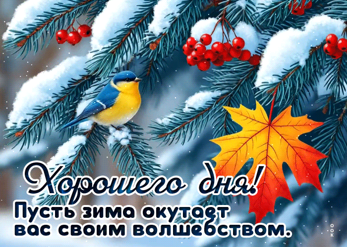 Picture пусть зима окутает вас своим волшебством