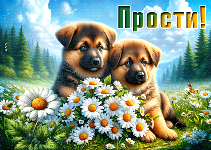 Picture радушная гиф-открытка, прости за все