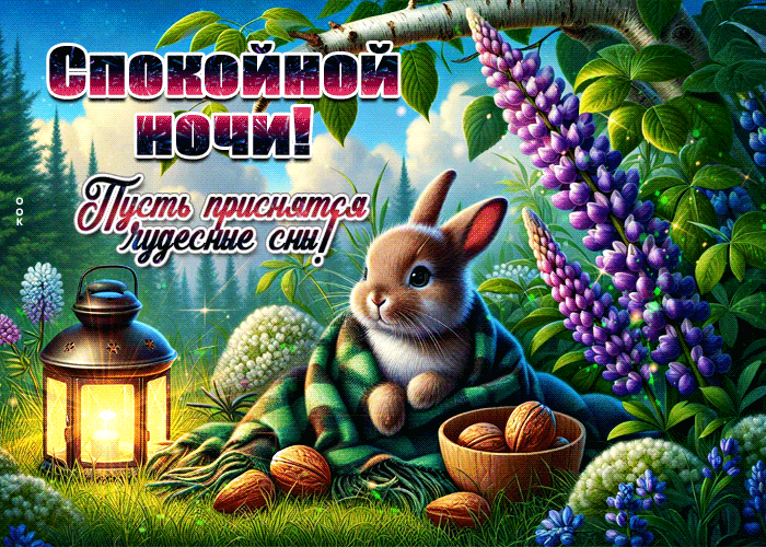 Picture радушная гиф-открытка, пусть снятся чудесные сны