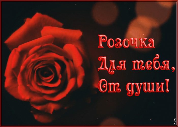 Открытка розочка для тебя