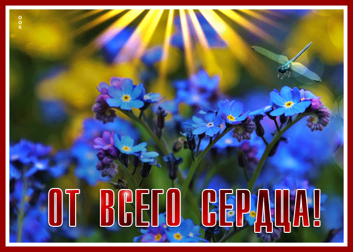 Picture с цветами
