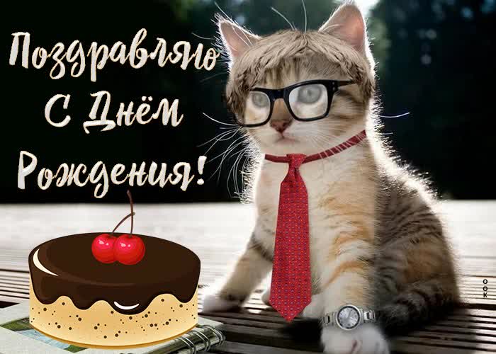 Picture с днем рождения мужчине