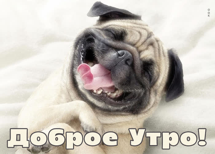 Picture с добрым утром