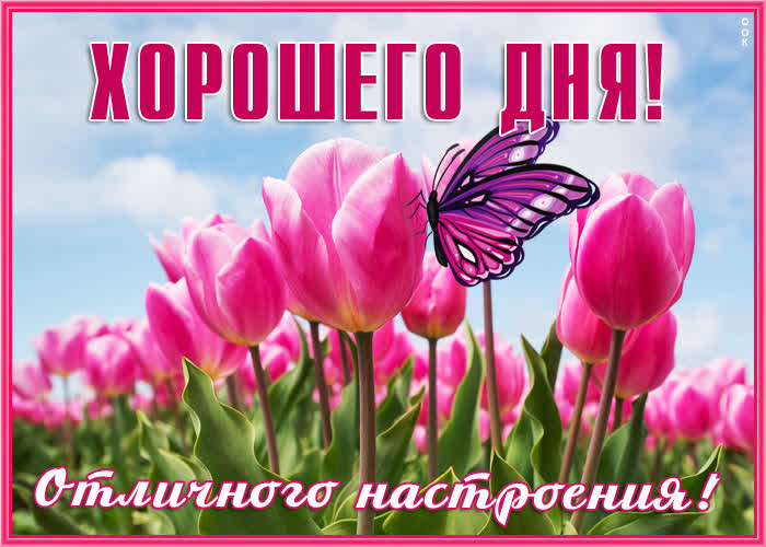 Открытка самая приятная картинка хорошего дня