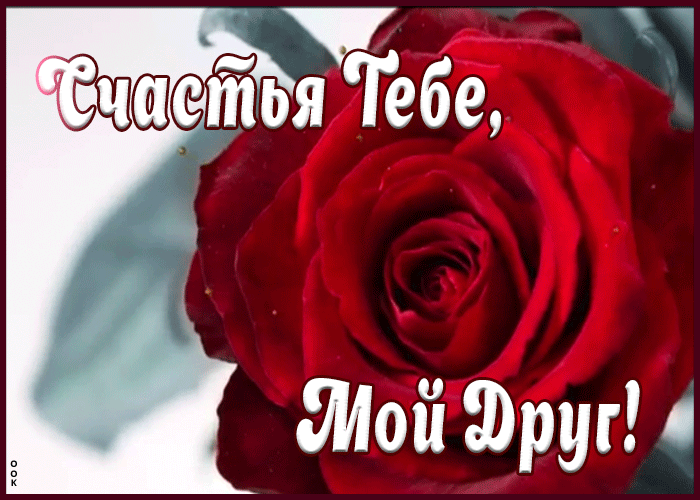 Картинка счастья тебе, мой друг