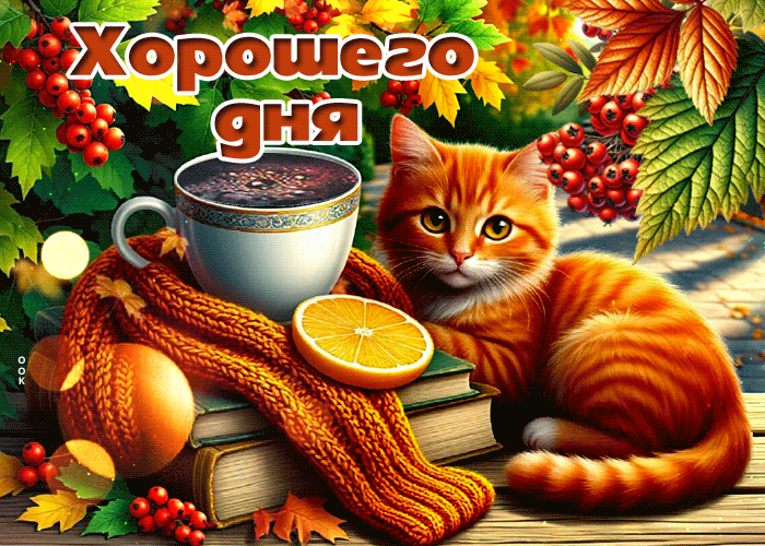 Picture сердечная гиф-открытка, желает милого дня