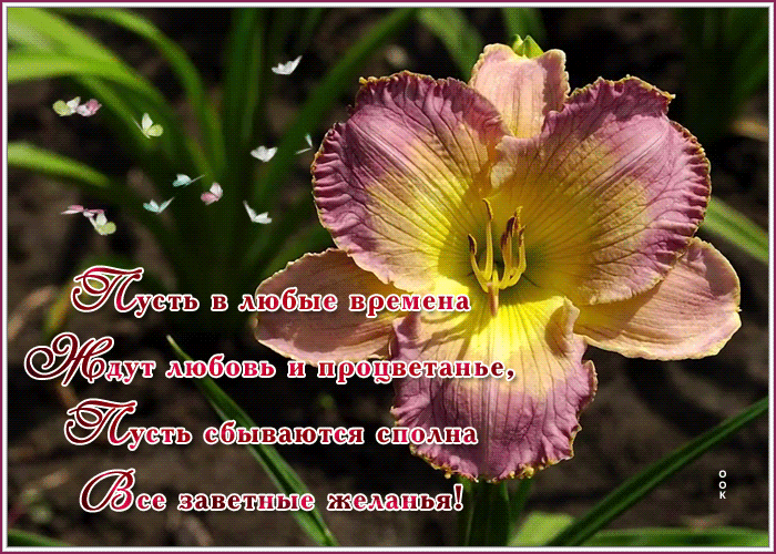 Открытка шикарная картинка с пожеланием