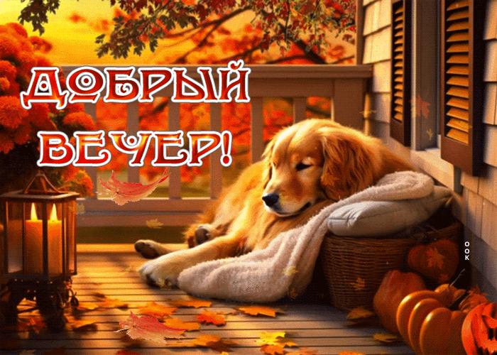 Postcard шикарная гиф-открытка с осенним вечером