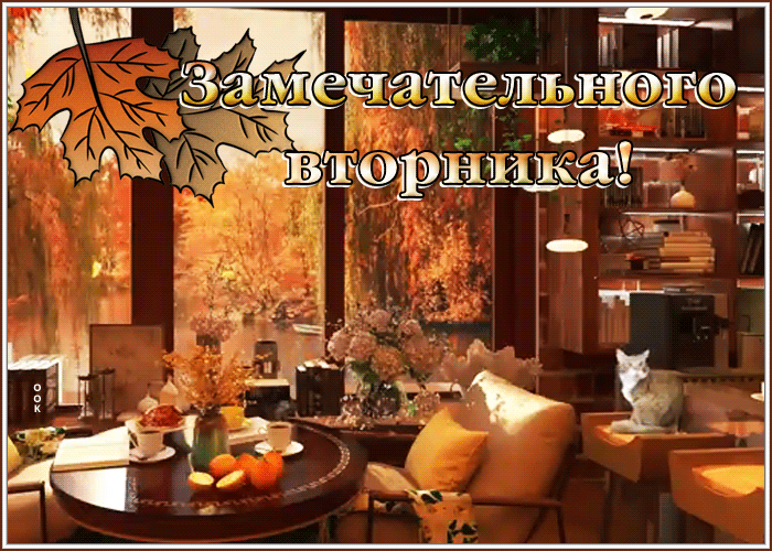 Postcard симпатичная открытка с пожеланием замечательного вторника