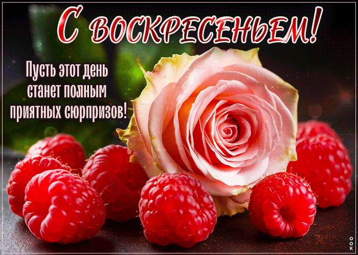 Postcard сияющая гиф-открытка, пусть день будет полон сюрпризов