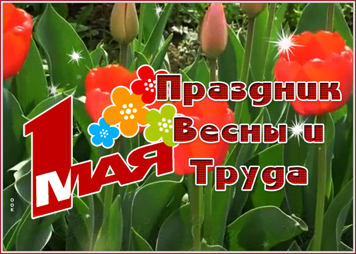 Postcard сияющая картинка с 1 мая