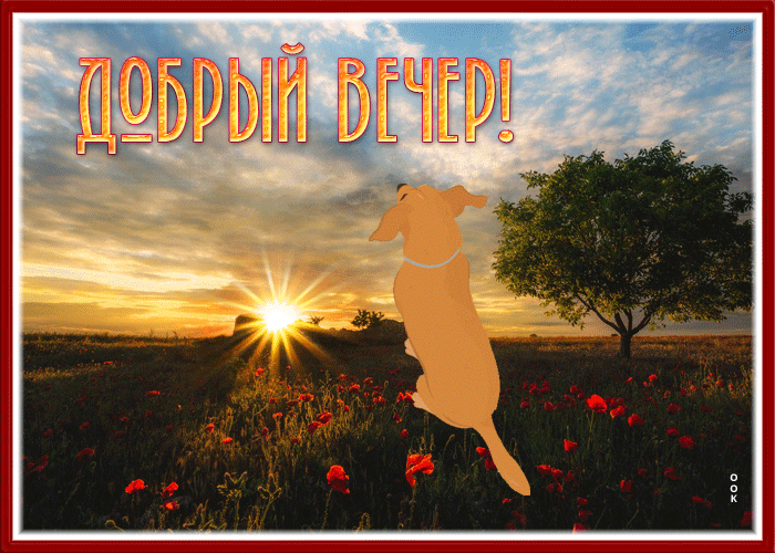 Postcard славная картинка добрый вечер с песиком и закатом