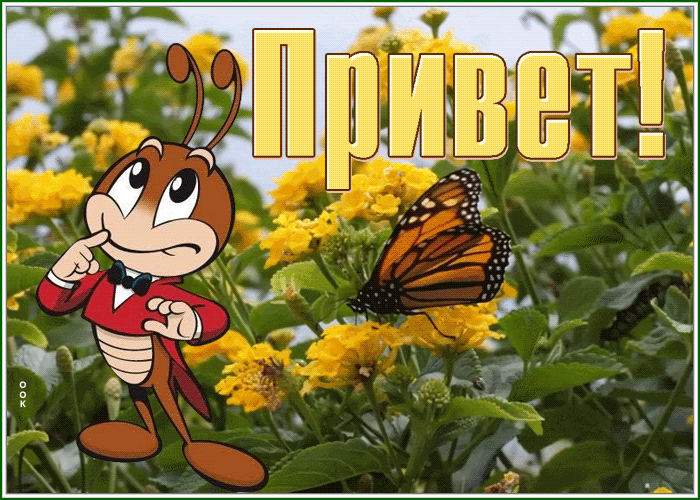 Picture славная картинка привет с цветами